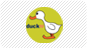 Duck TV